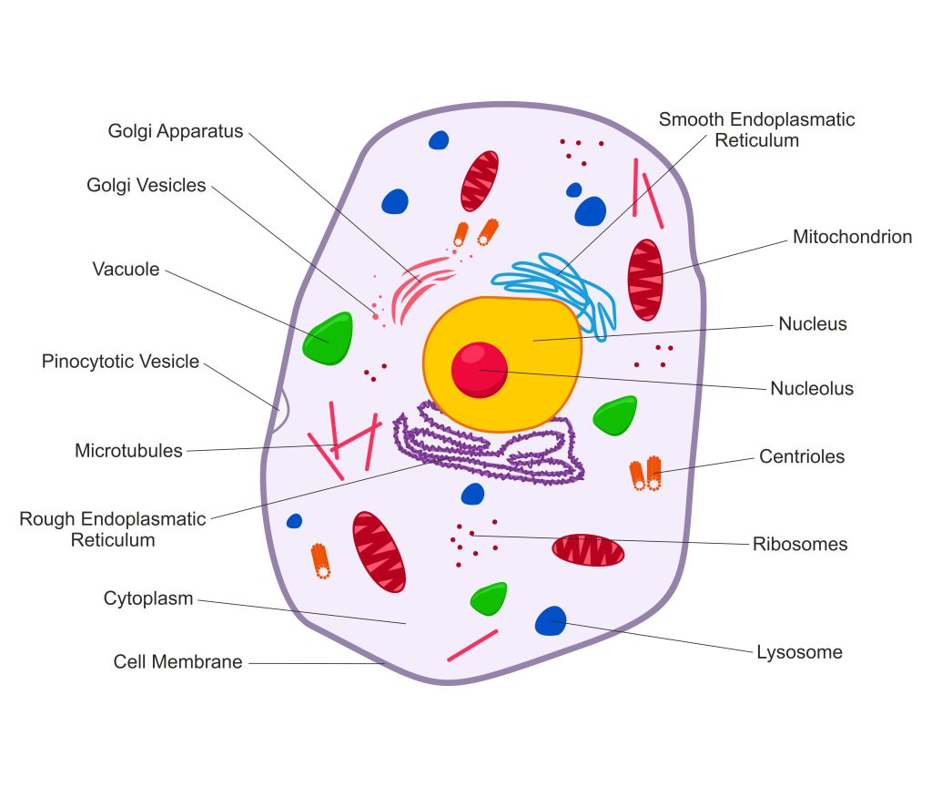 bio-photonic-scaled